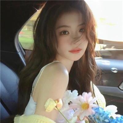 火之鸟772